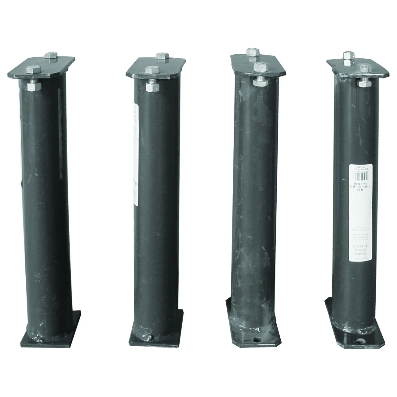 Horse Stocks Equine Stock