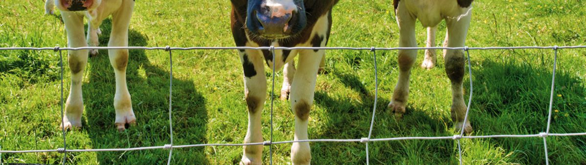 image-HighTensile-HingeJointFence.jpg