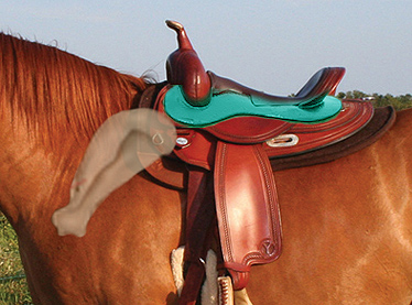 Copper_saddled-with-scapula-bigger-LOWRES.jpg