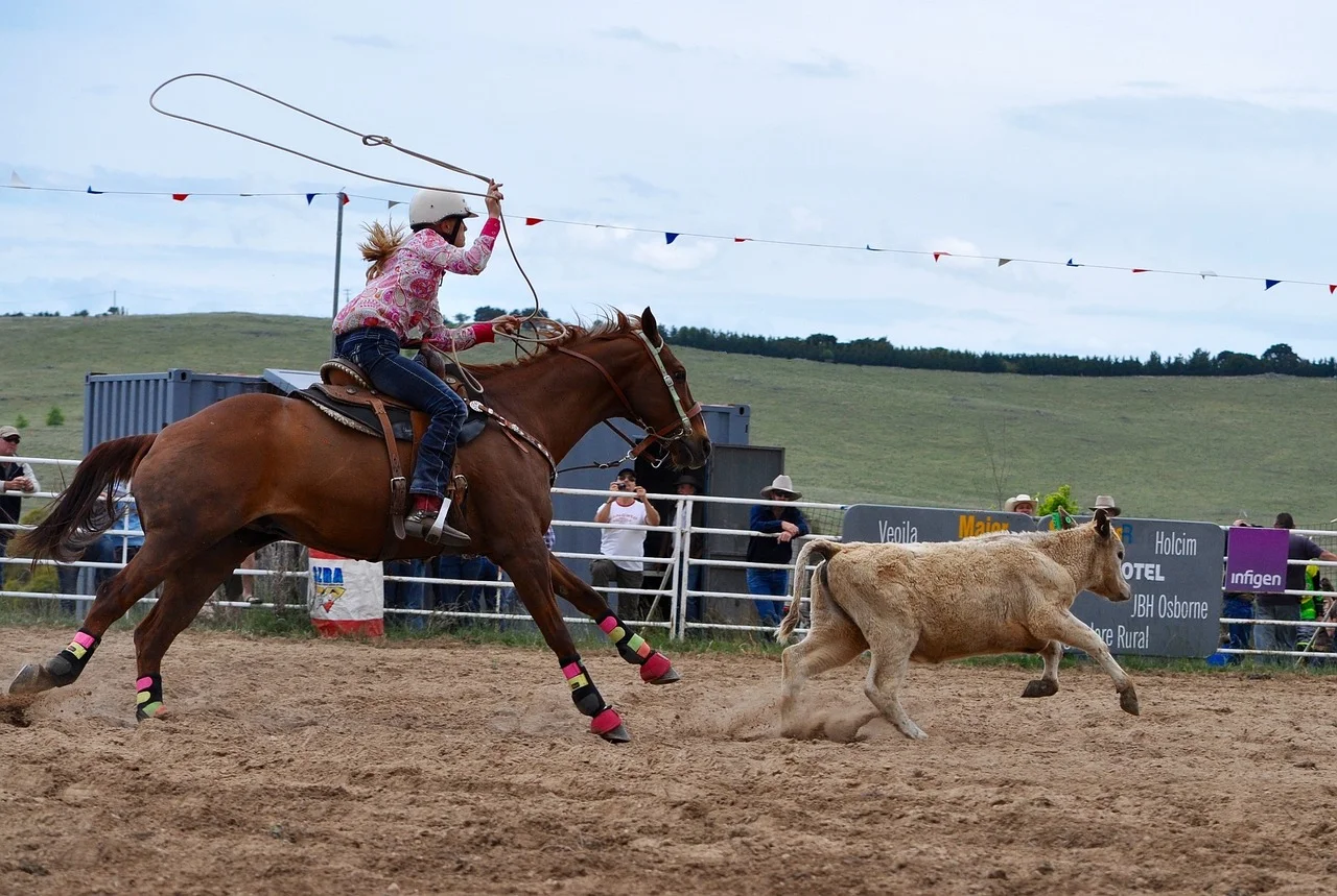 rodeo-1249437_1280.jpg