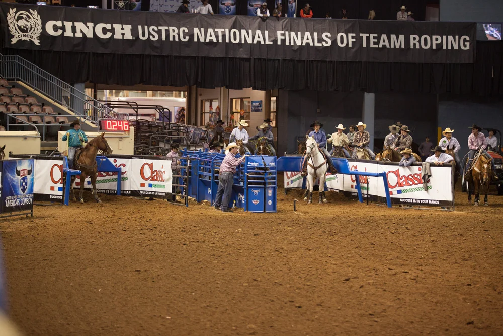 Roping Chutes for Sale