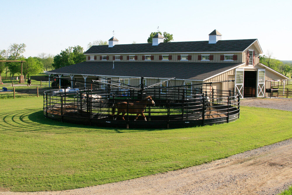 Panel Horse Walker_003.jpg