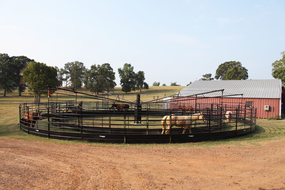 Panel Horse Walker_002.jpg