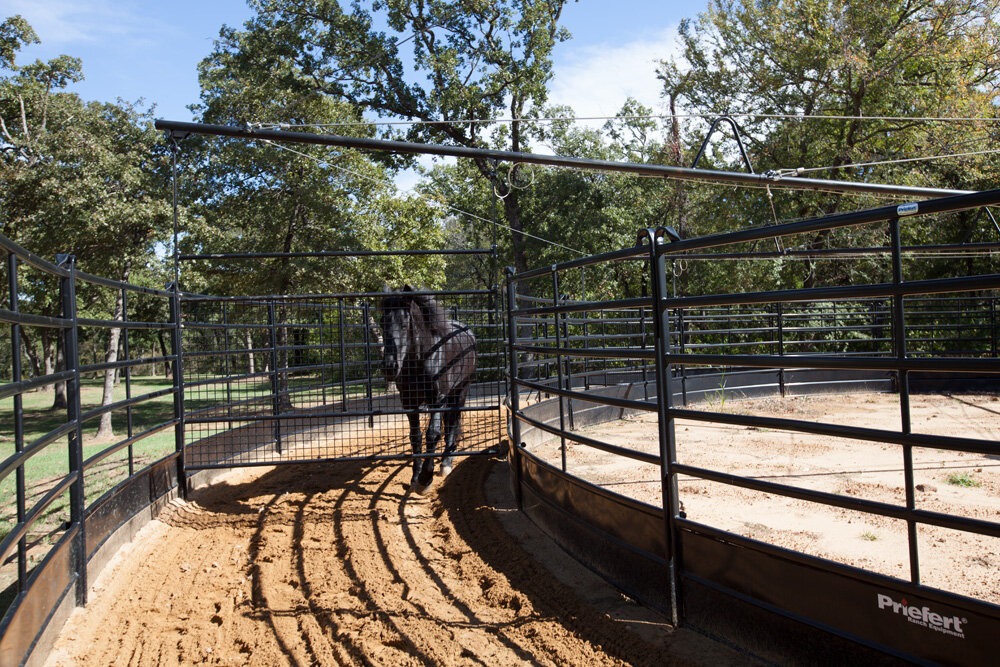 Panel Horse Walker_010.jpg