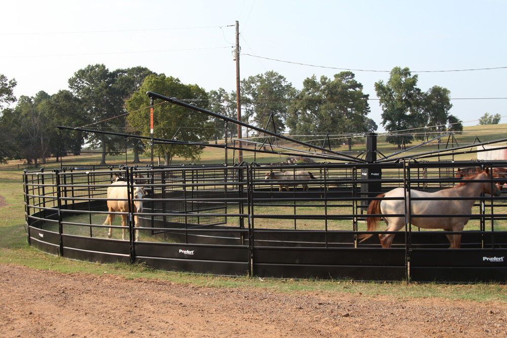 Panel Horse Walker_020.jpg