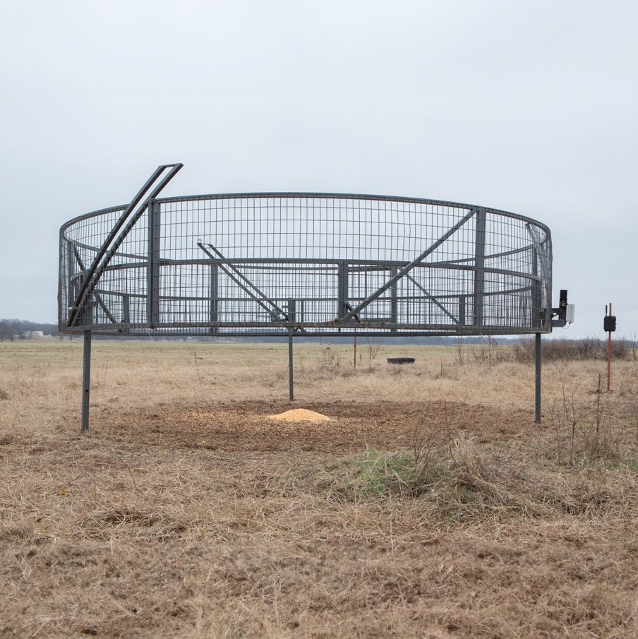 Trapping Feral Hogs Feral Hog Trapping Permits Available February 1,