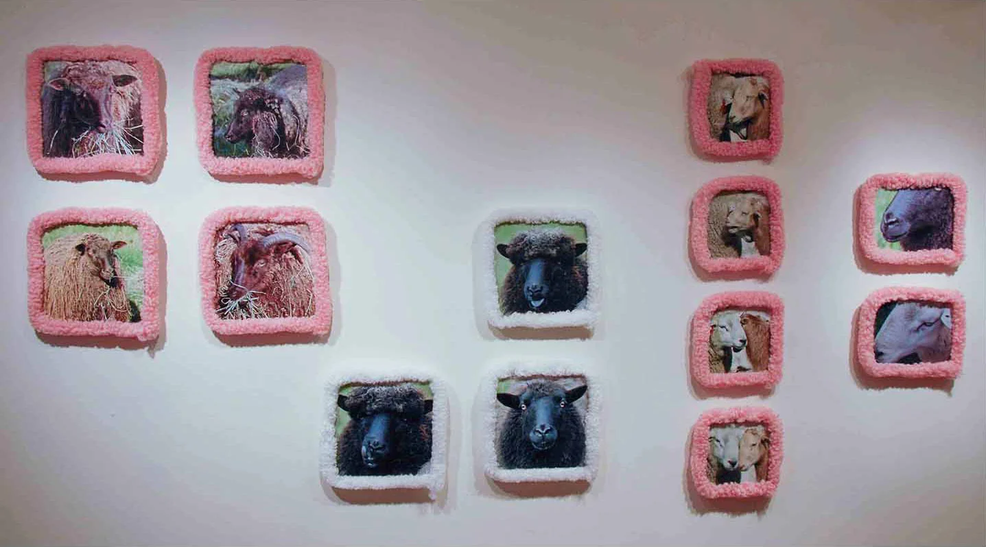 sheep8.jpg