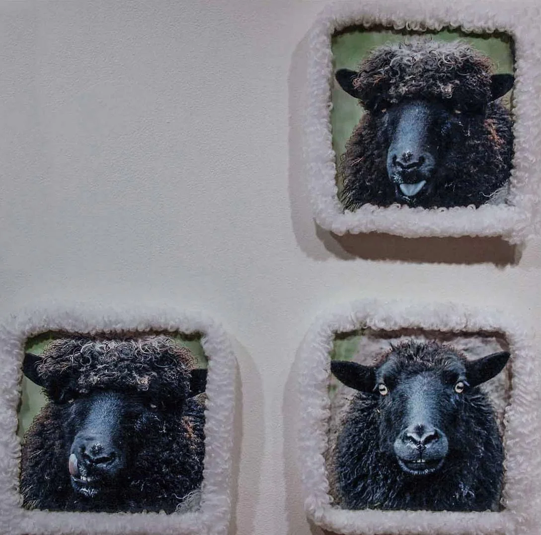 sheep9.jpg