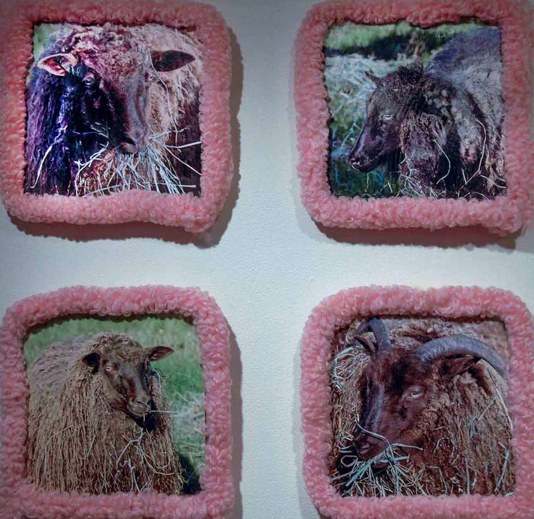 sheep12.1.jpg