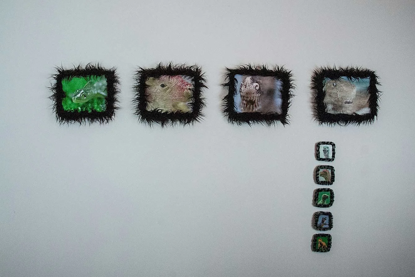 RFGarden012.jpg