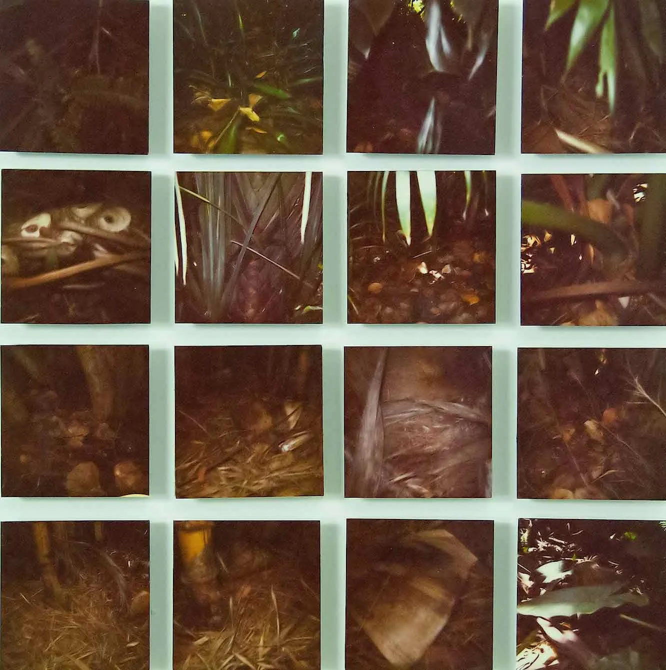 RFGarden025.jpg