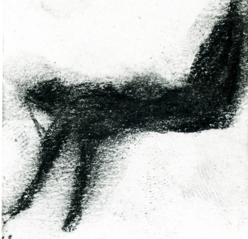 Diving002.jpg