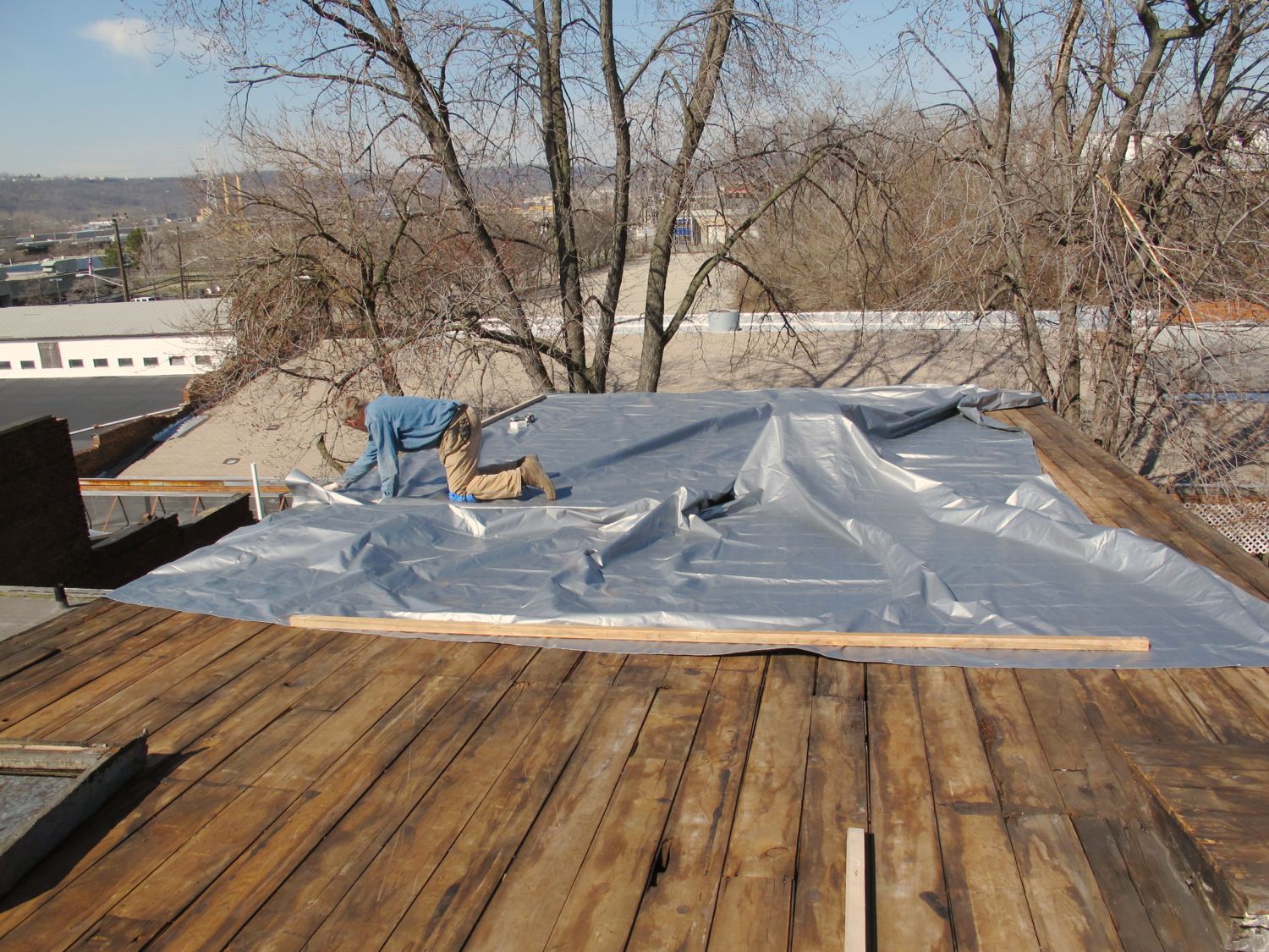 Roof - 04.jpg