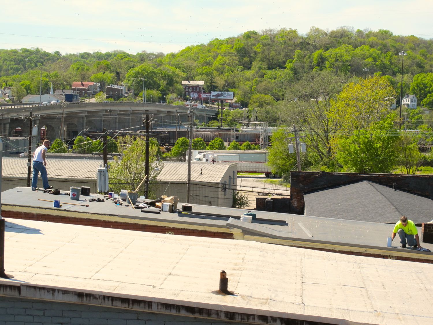 Roof - 11.jpg