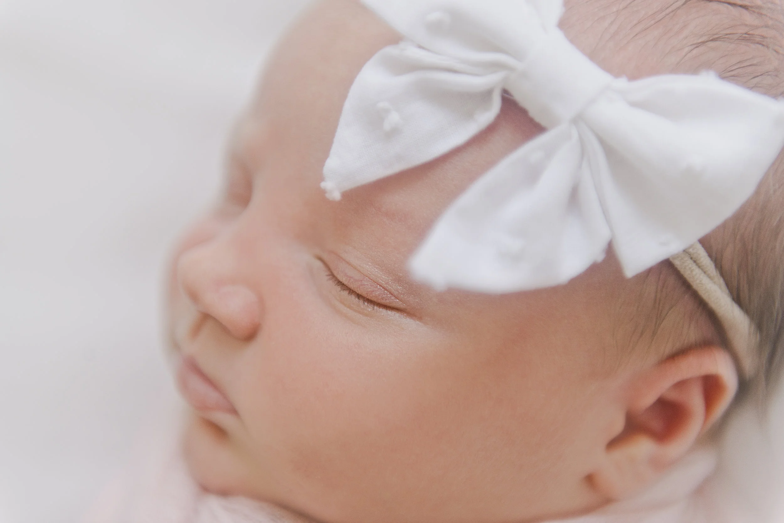 leslieleavittphotography102.jpg