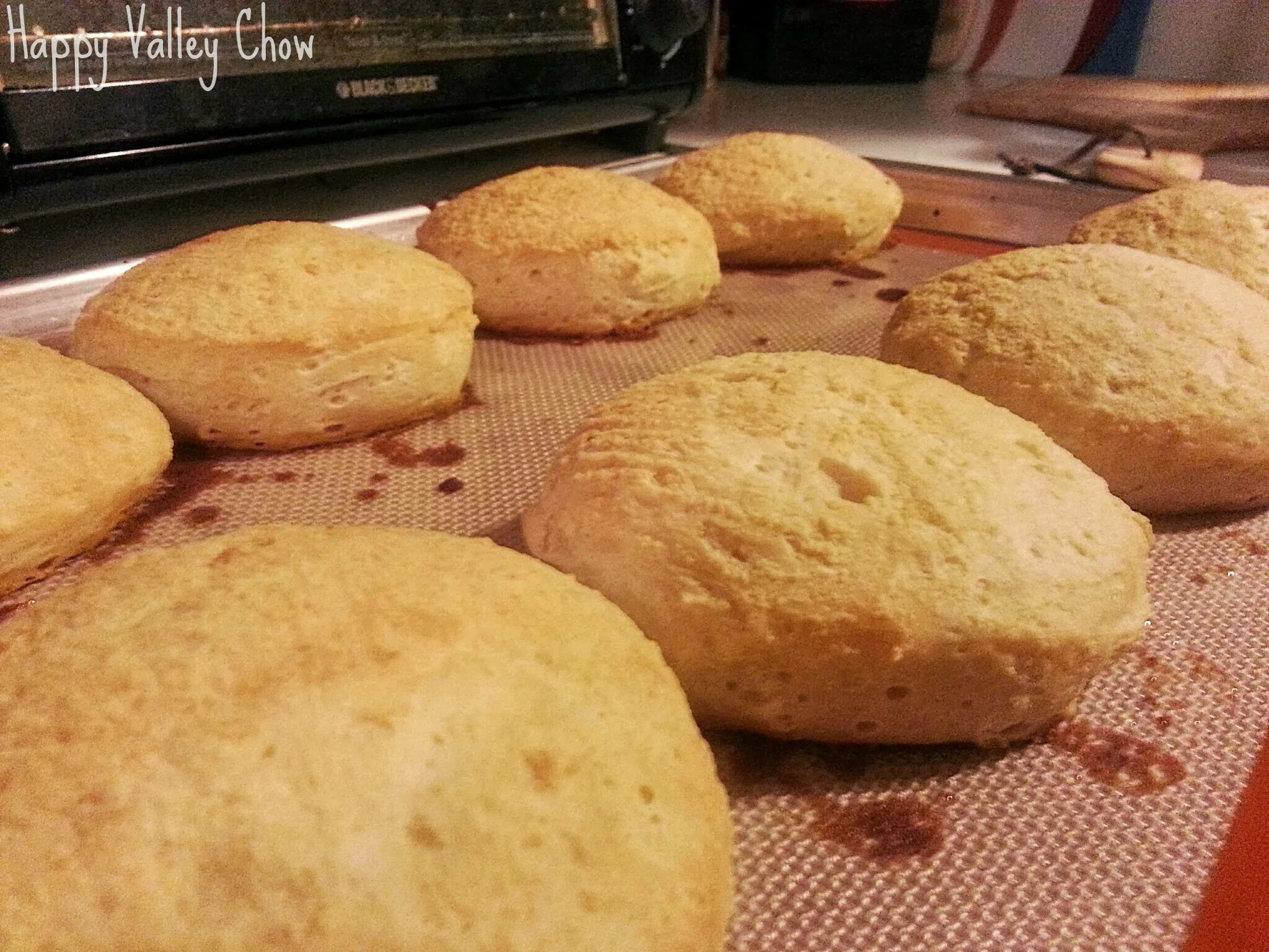  I also brushed the Garlic-Parm Butter Sauce on some biscuits :)