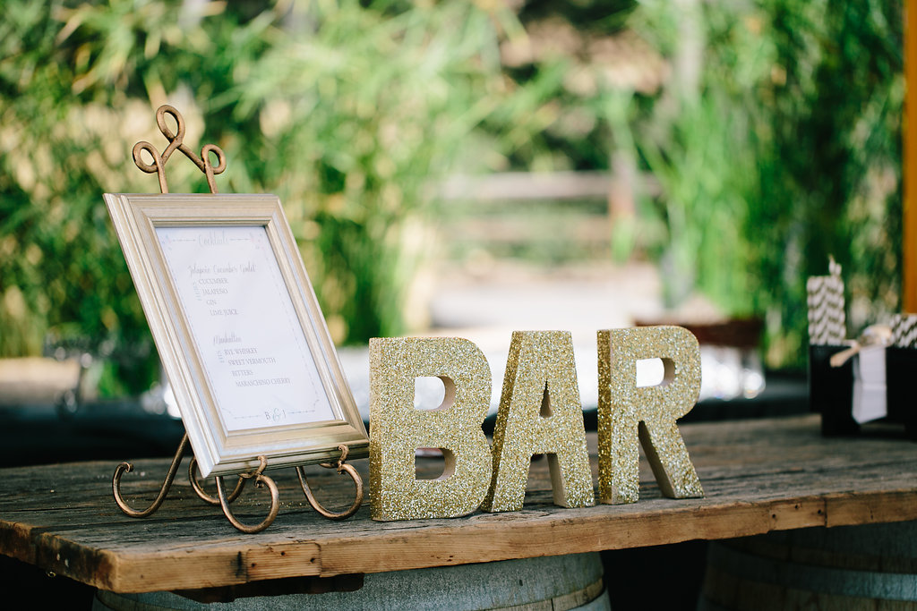 Brittany_Justin_Wedding_233.jpg
