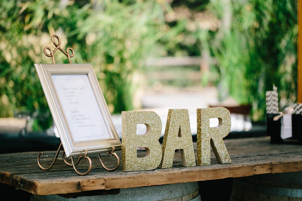 Brittany_Justin_Wedding_233.jpg