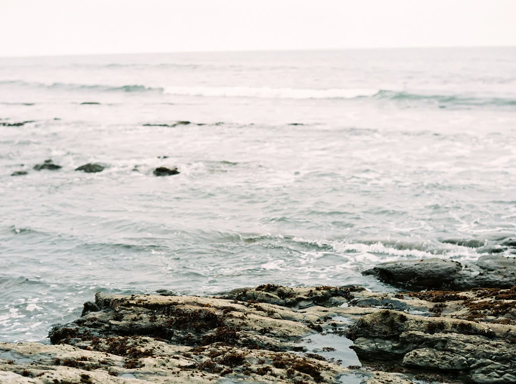 Summer-David-0003.jpg