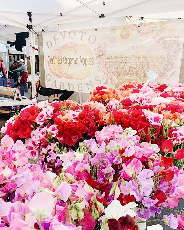 Farmers Market Fun 💕