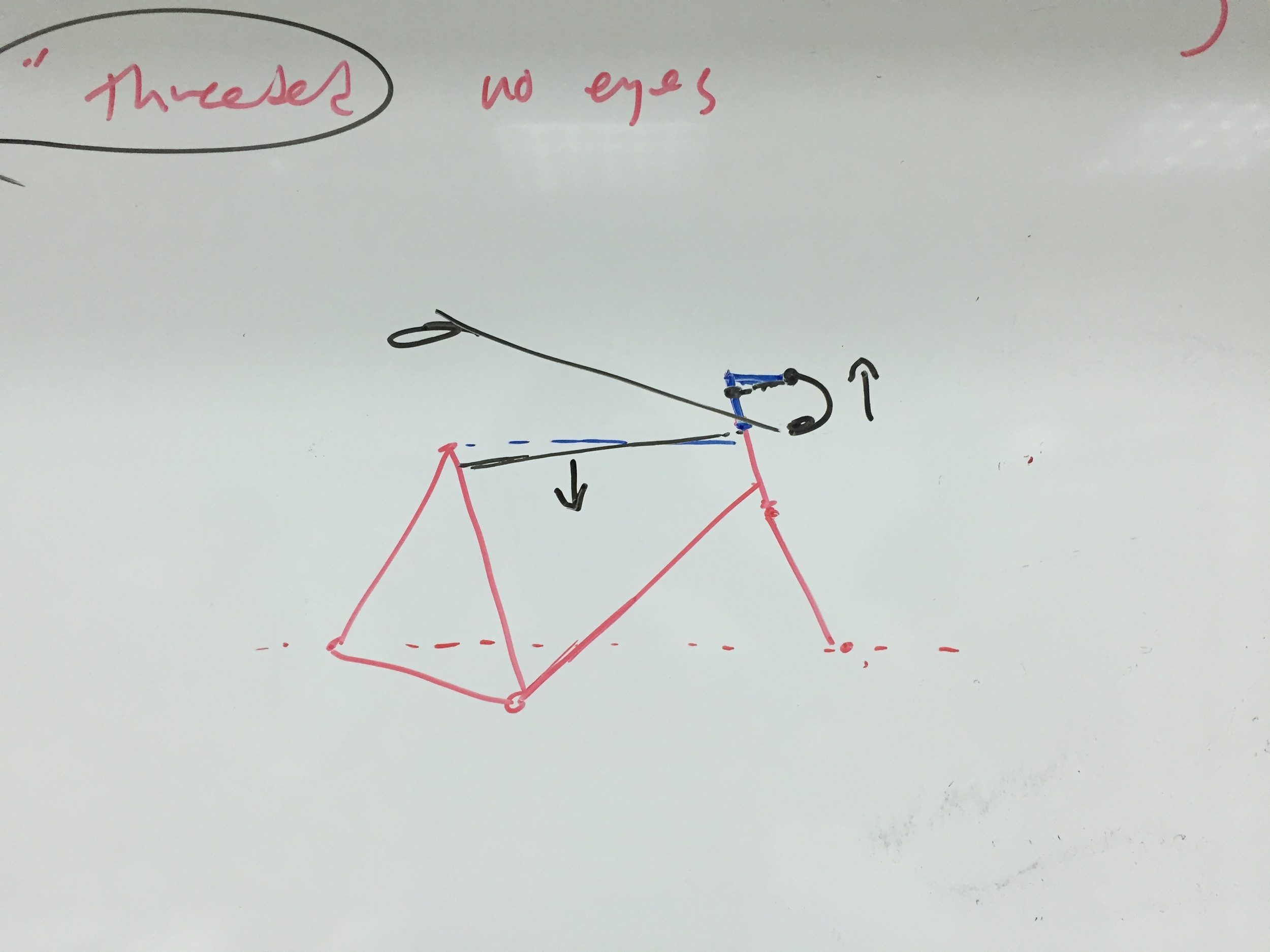 Me, explaining bike geometry.