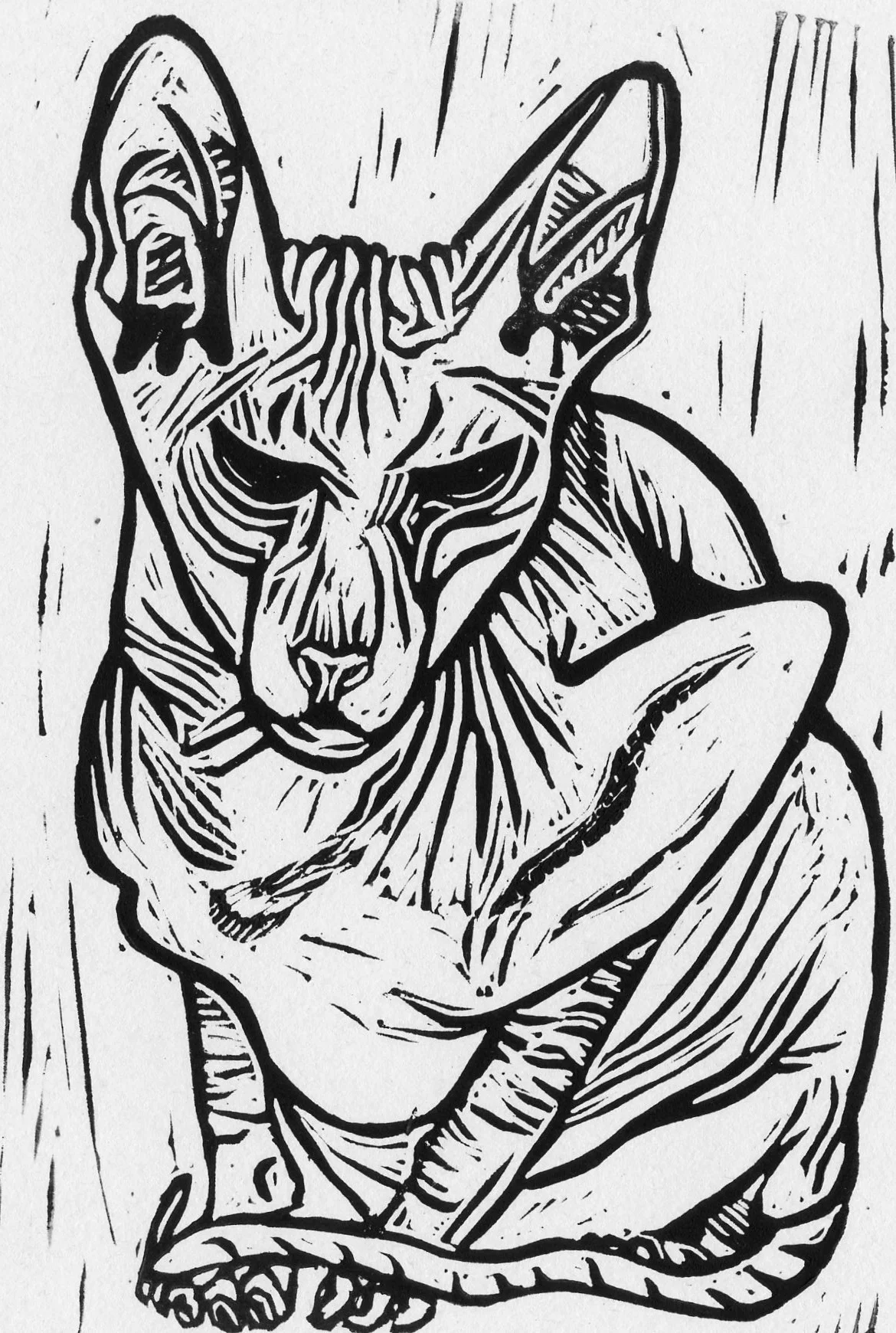 XXII peterbald.jpg