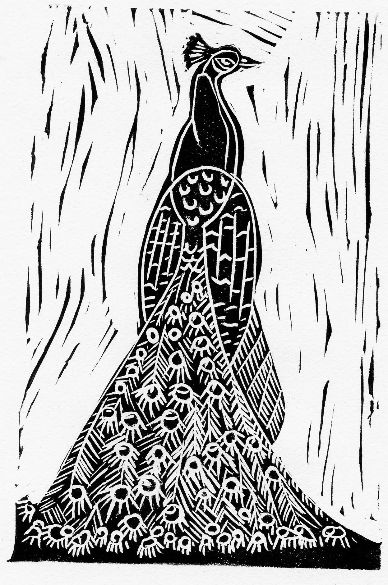 XIV peafowl.jpg