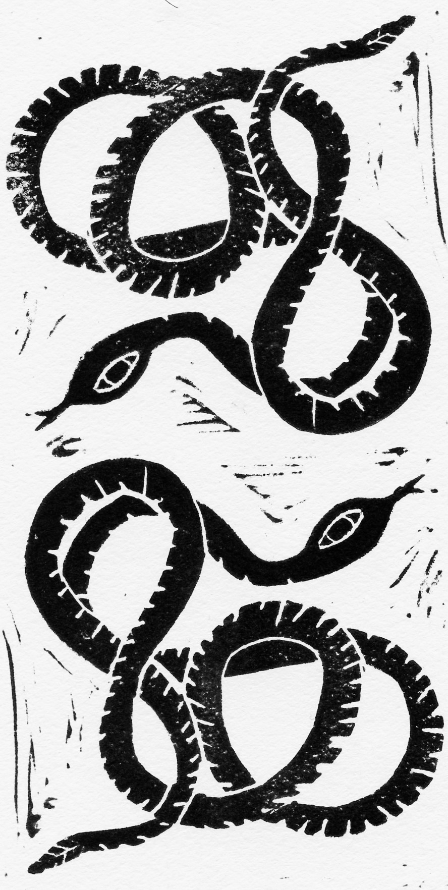 I snake.jpg