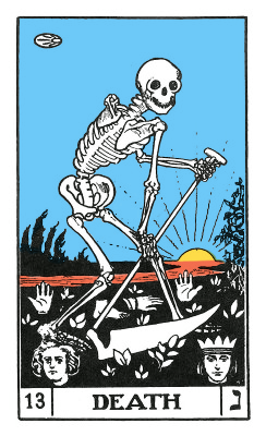 13.png