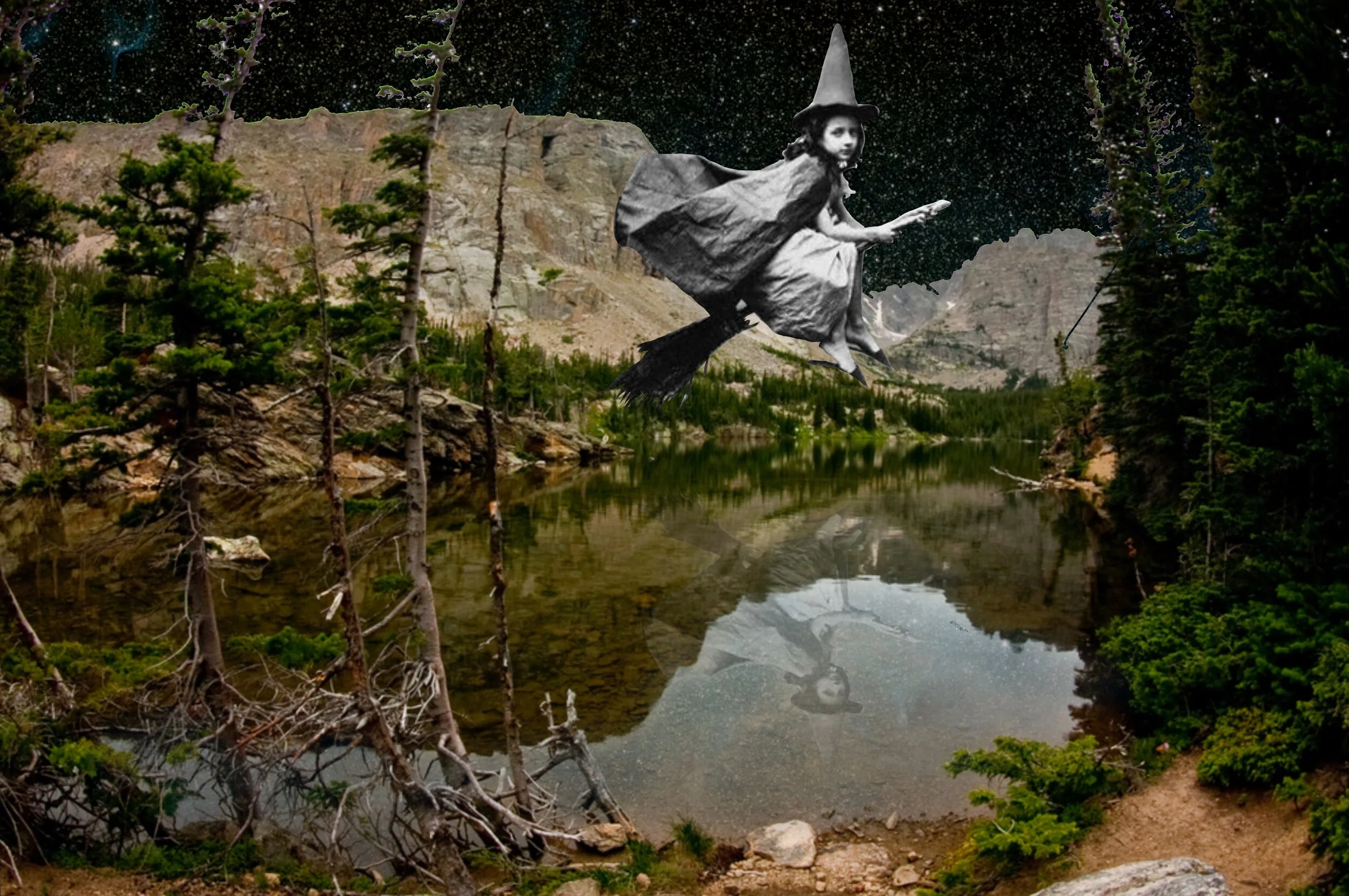 Forest.jpg