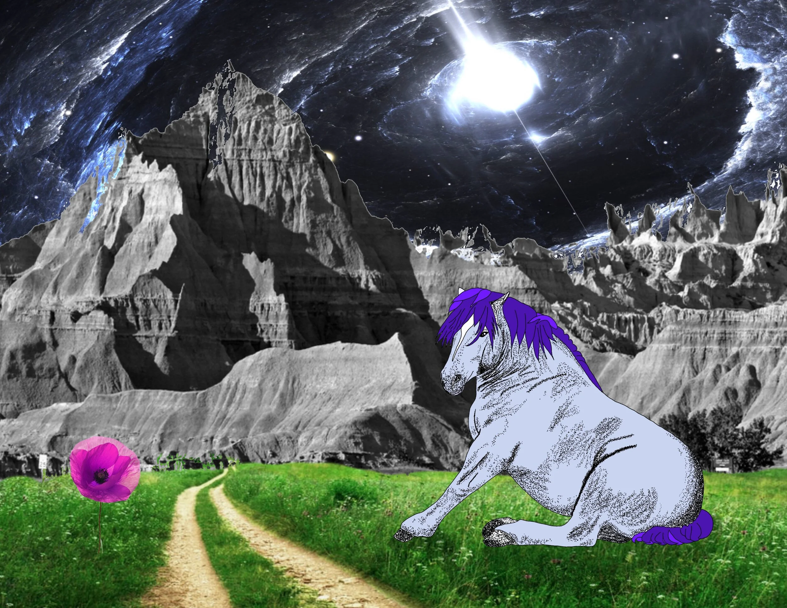 Untitled_Artwork 8 copy 3.jpg