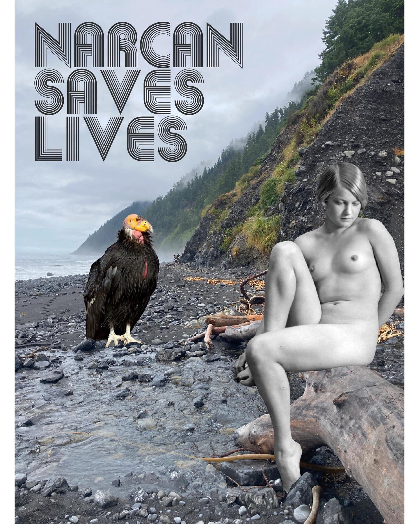 I backpacked Lost Coast earlier last month and got myself new photos to use for new PSA&rsquo;s nobody asked for 👍 #narcansaveslives #collage #digitalcollage #politicalart