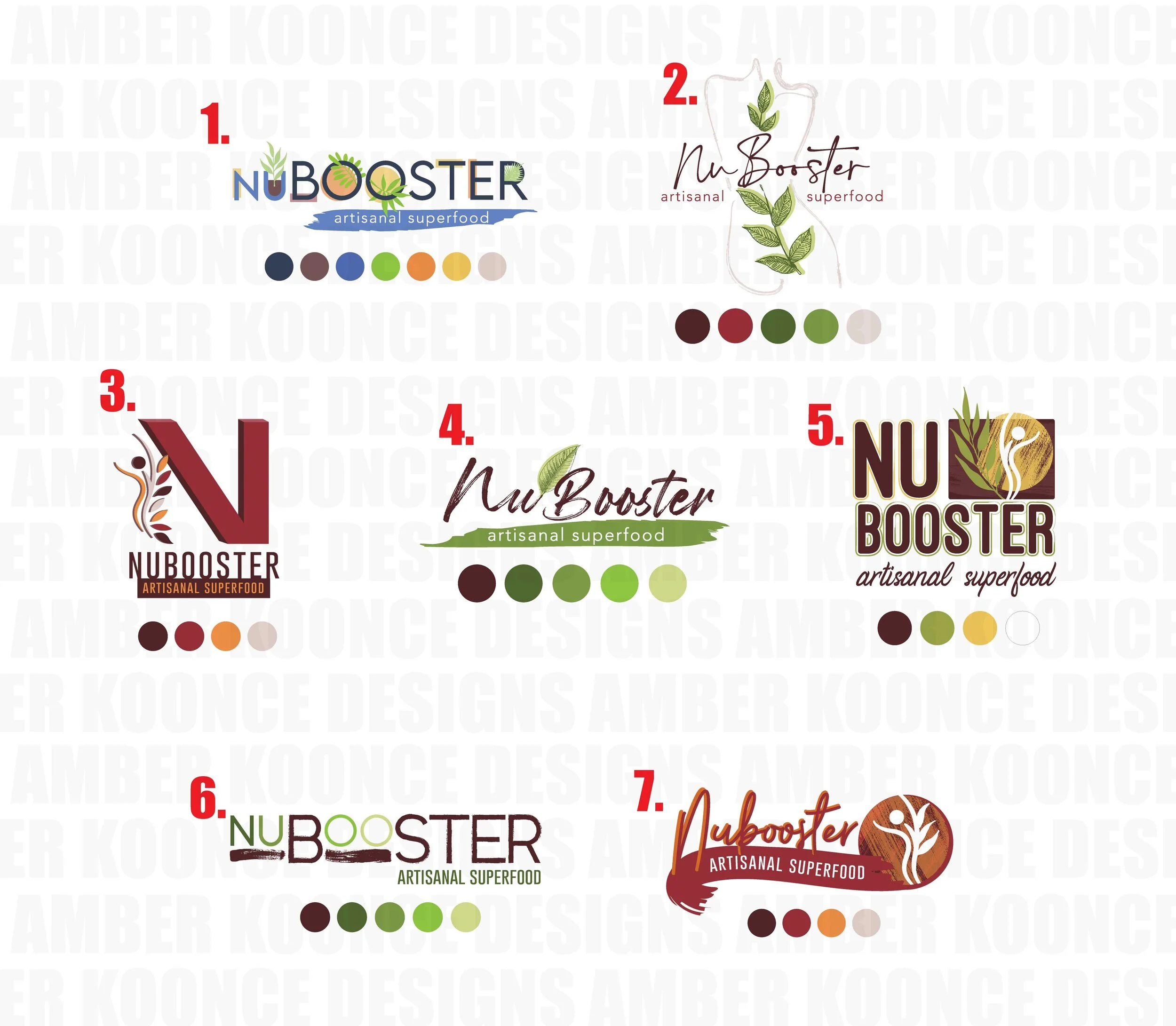 NuBooster-Logo-Options.jpg