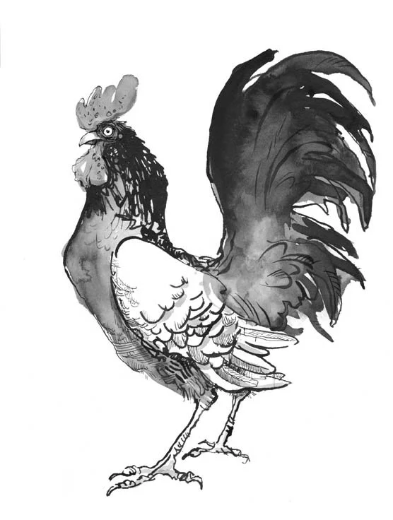 Rooster_CM.jpg