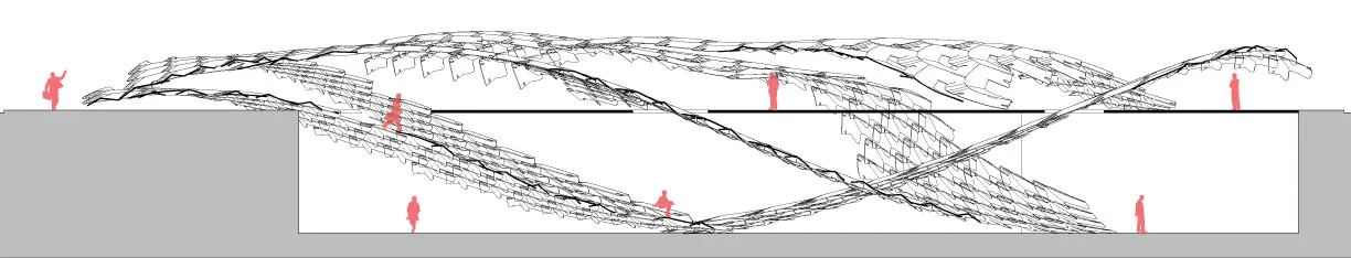 section