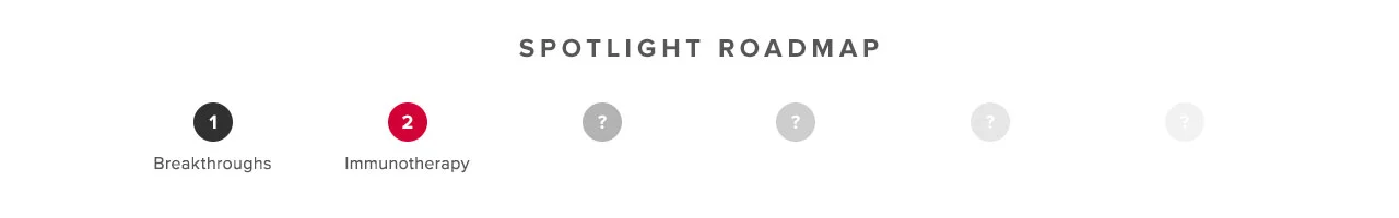 Spotlight_2_Divider.jpg