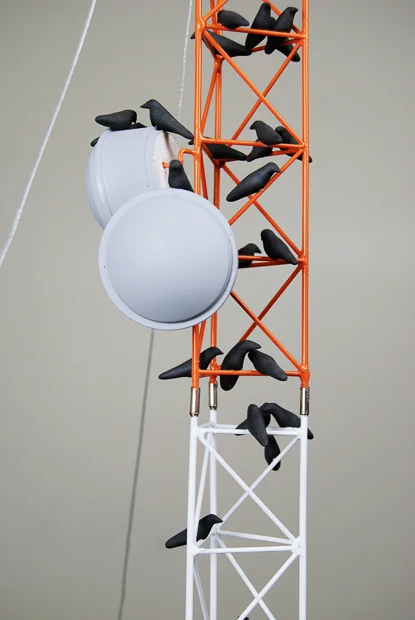 Coetaneous Stasis, 2008