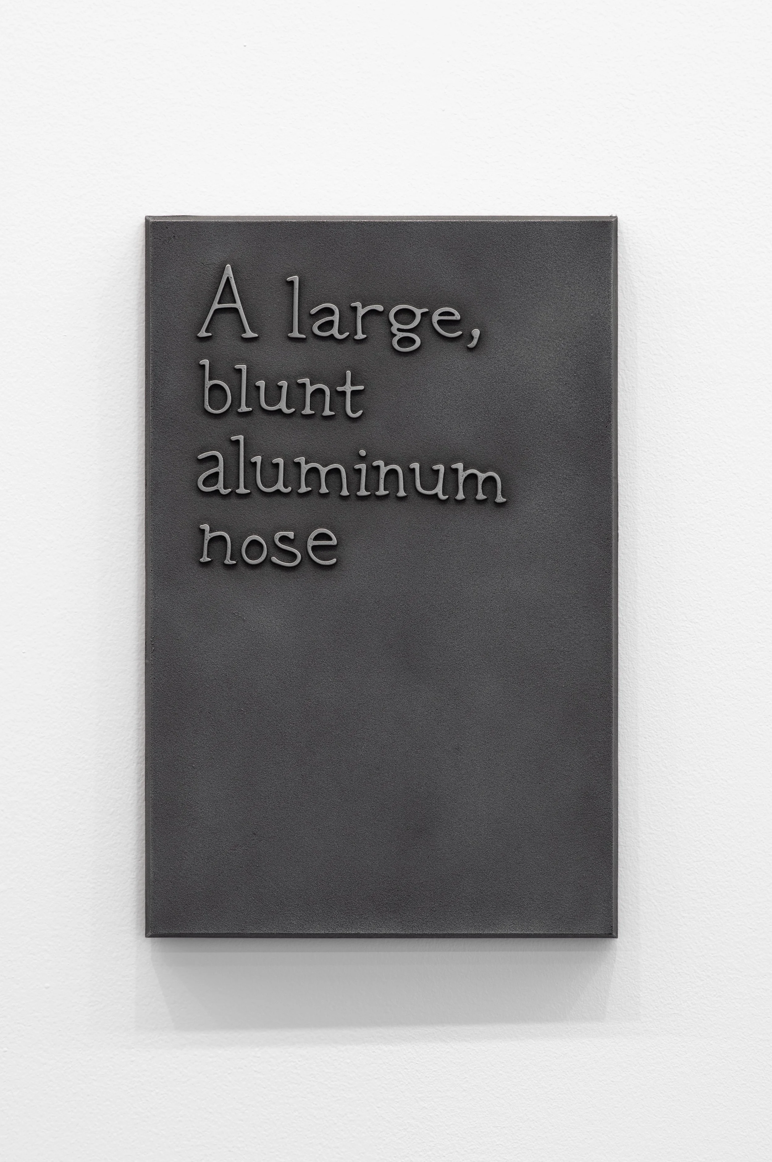 63_A large, blunt aluminum nose-1.jpg