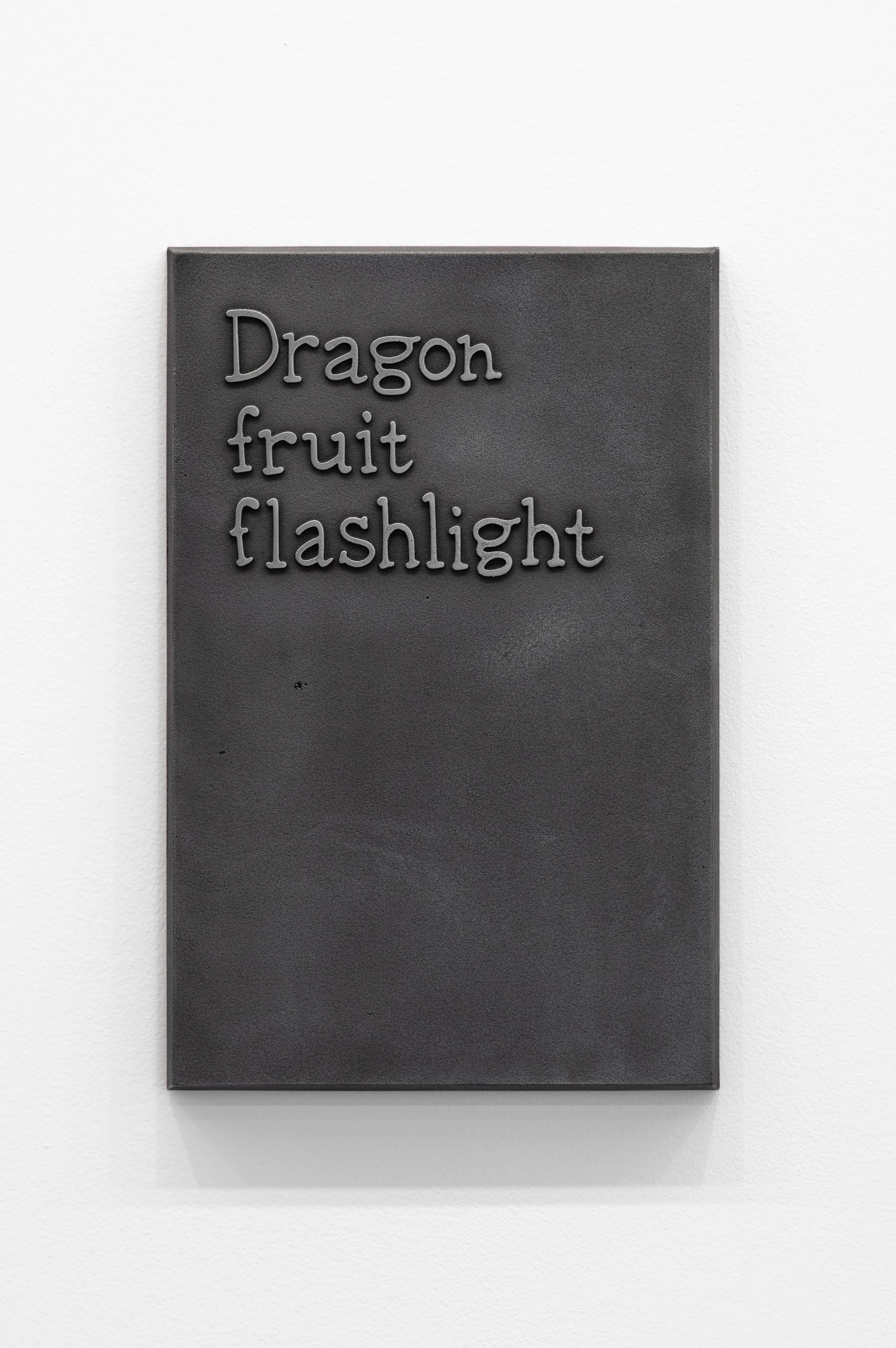 73_Dragon fruit flashlight-1.jpg