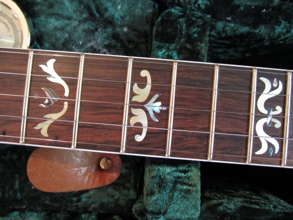 new banjos 018.jpg