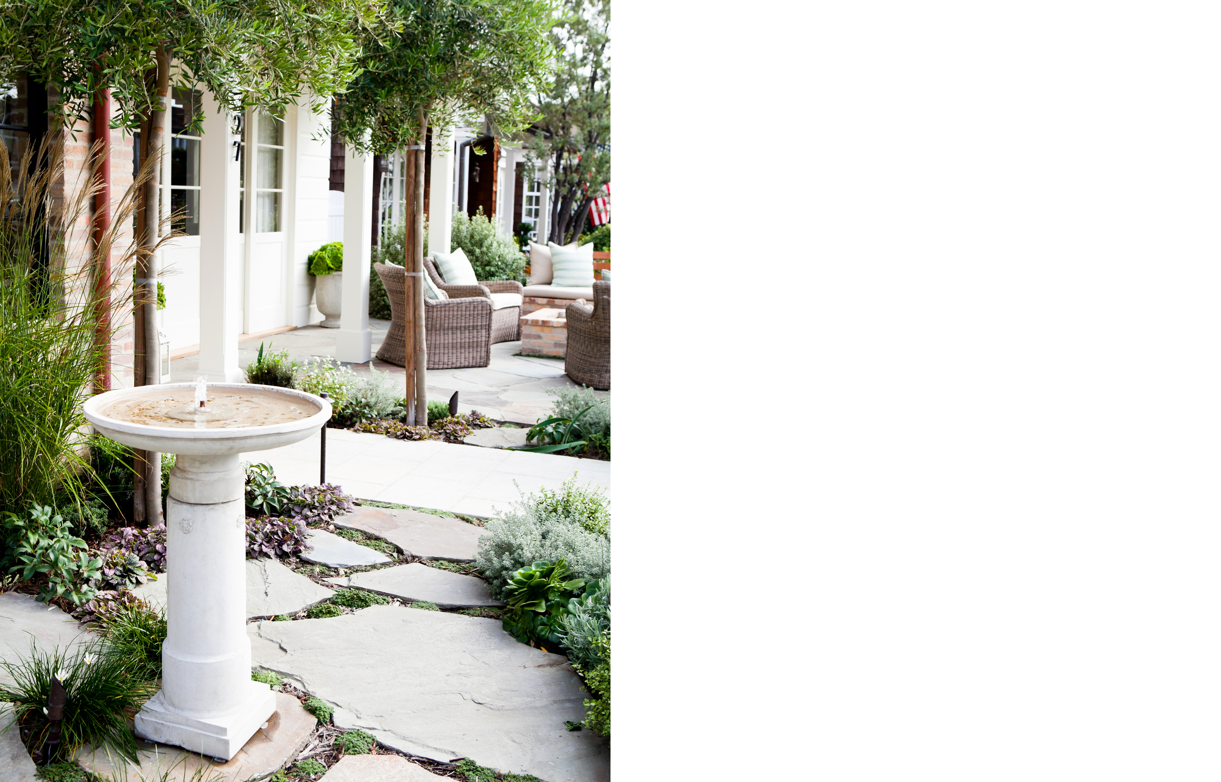 Landscape Design Newport Beach Molly Wood Garden Design