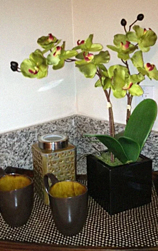 orchid.jpg