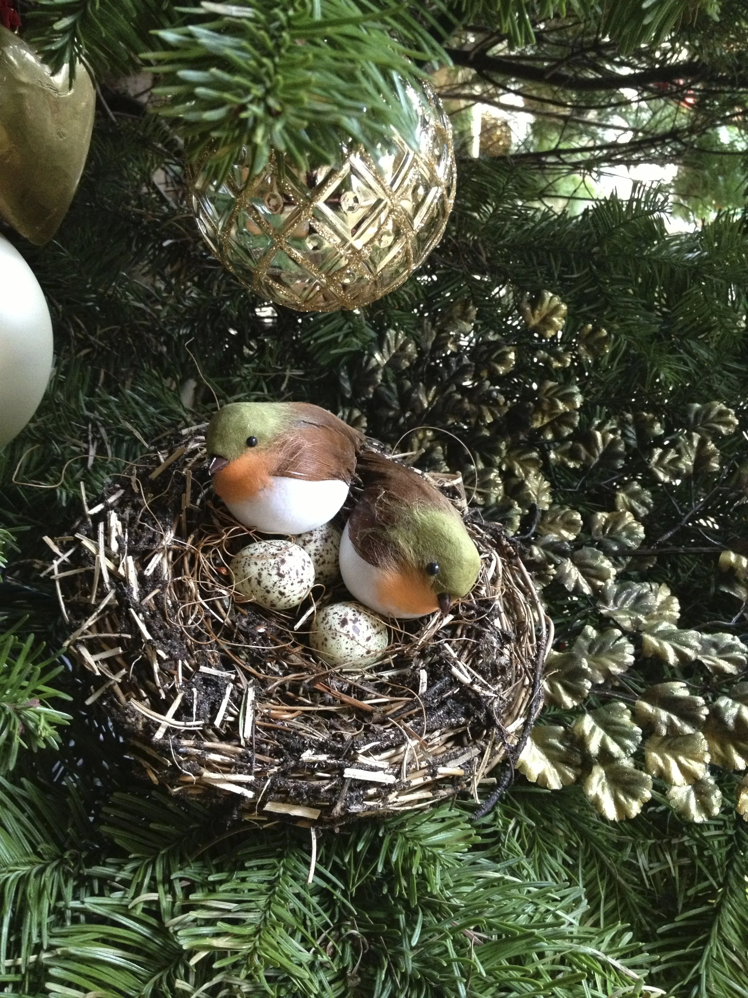alchera's tree birds.jpg