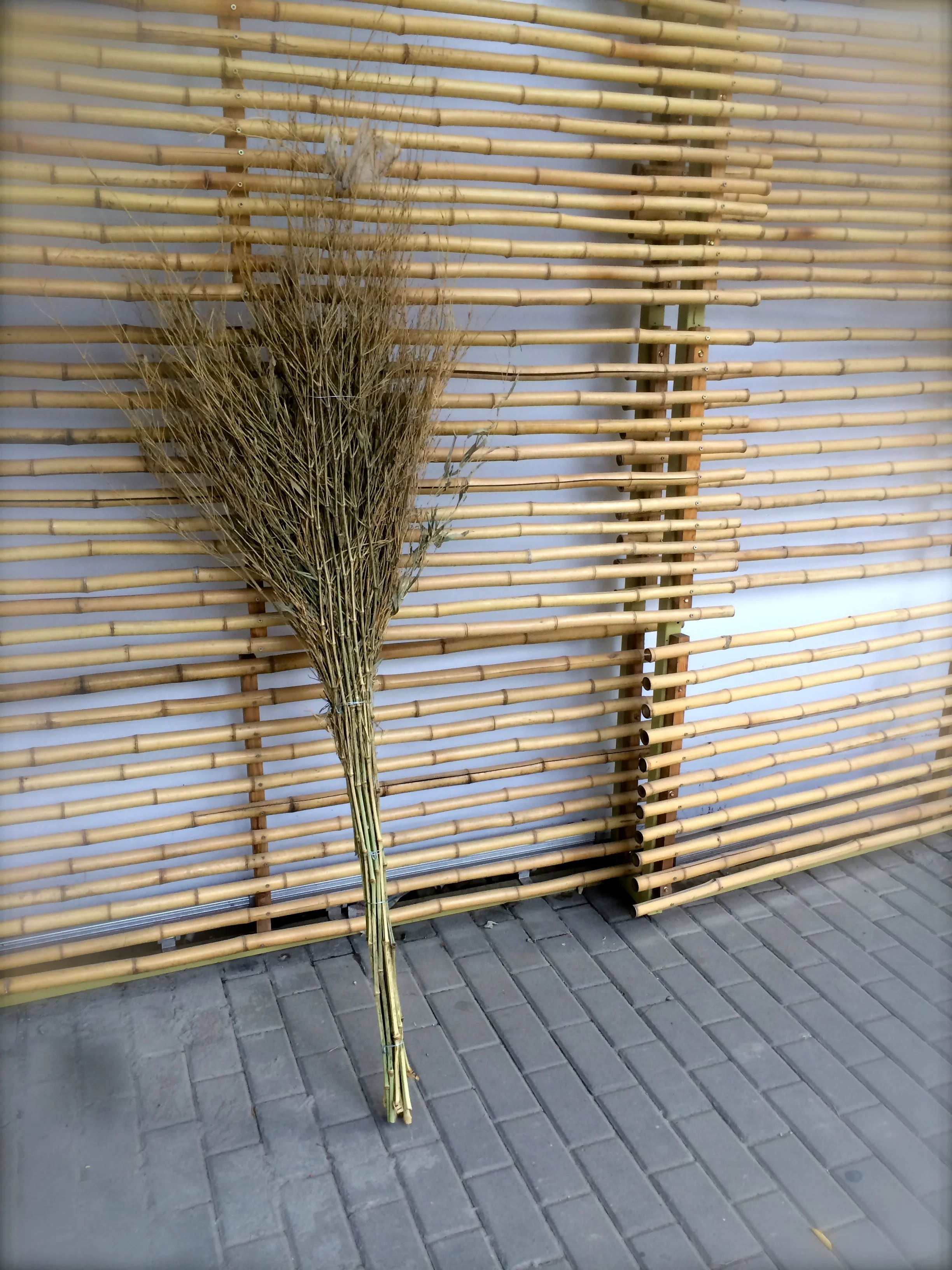 these brooms are used everywhere. I've seen loads of people sweeping the streets with them. now that I think about it, I've never seen one abandoned in this way....they are almost always being used. 