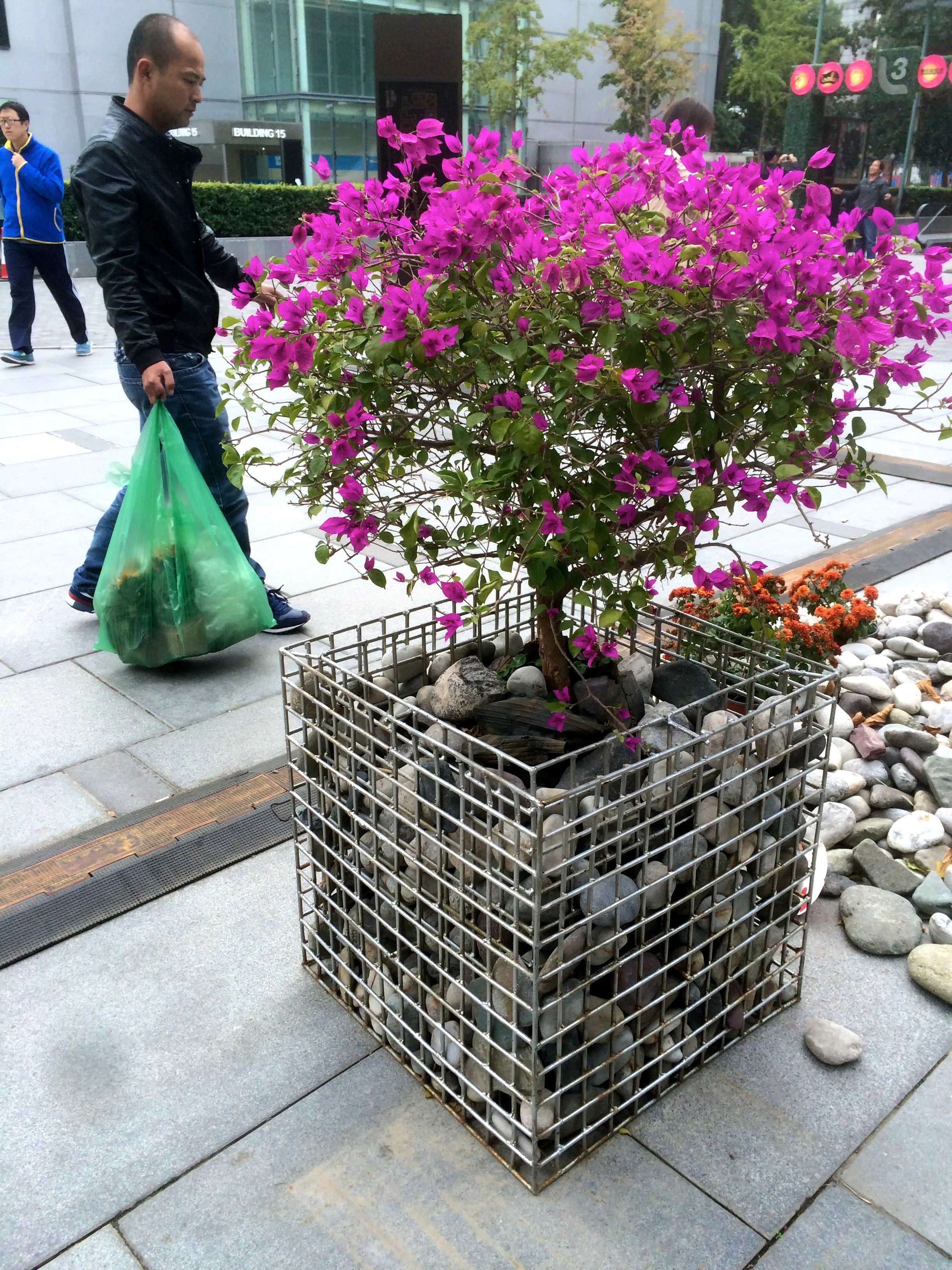 Roy Christopher, I saw this at the shopping mall today and thought of you! ...not as pretty as yours though!