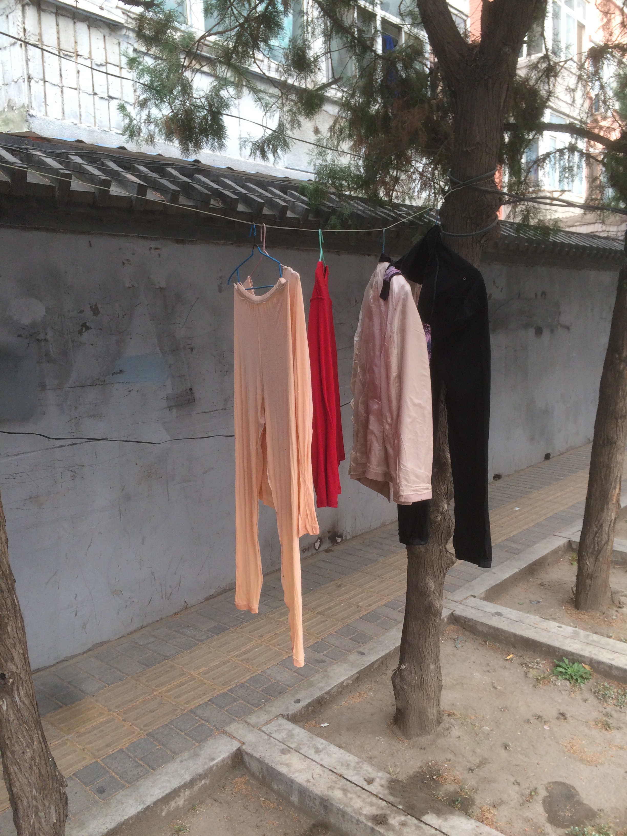  many people don't have dryers in their apartments...so I guess they just dry their clothes on the street?! 