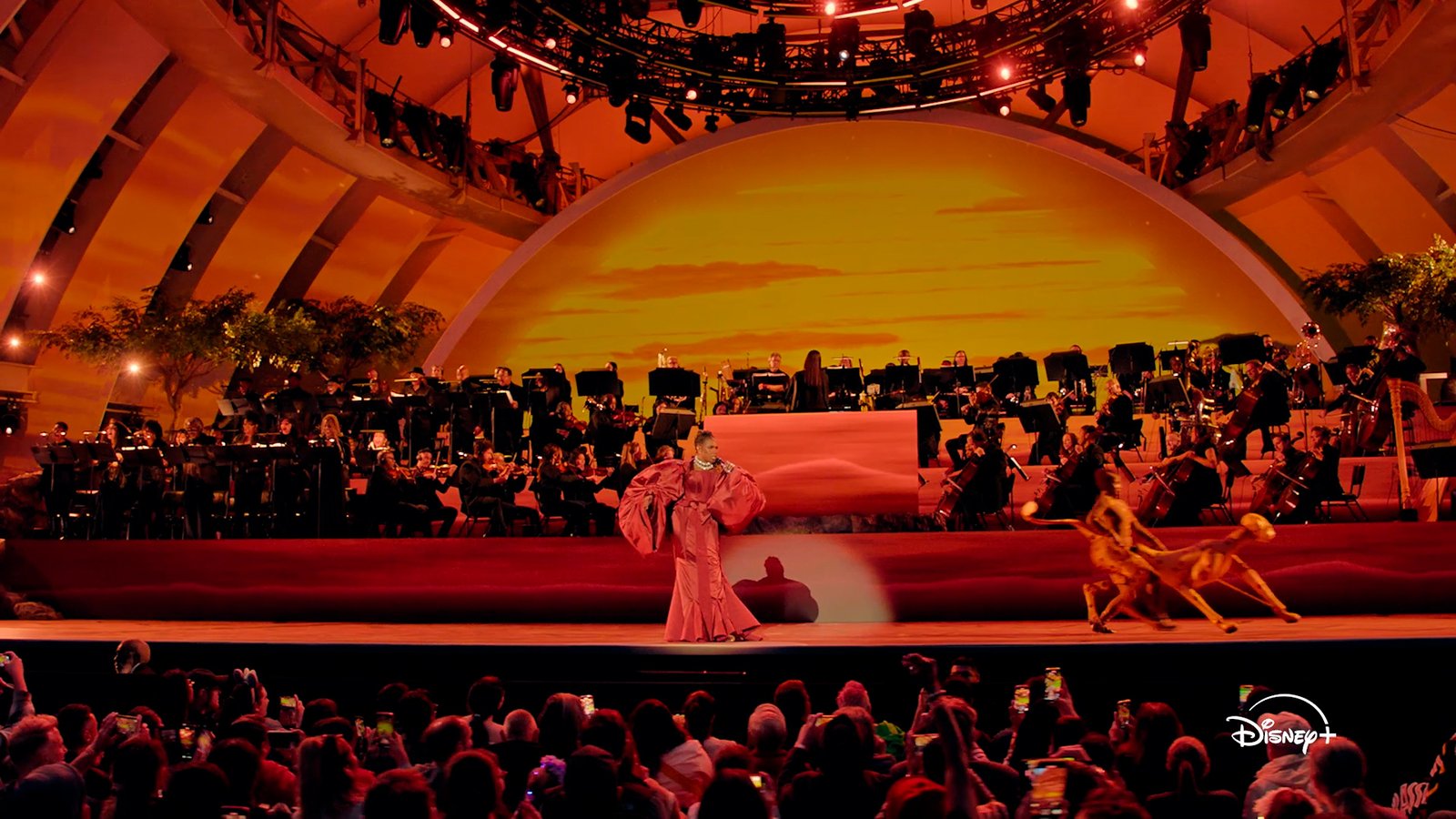 15873508_020625-otrc-lionkinghollywoodbowl-newimg.jpg