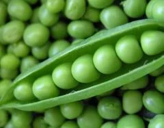 peas.jpg