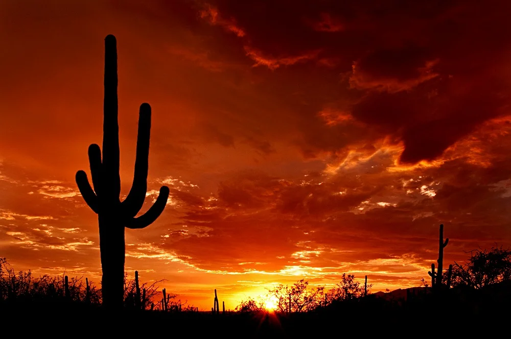 arizona-sunset.jpg
