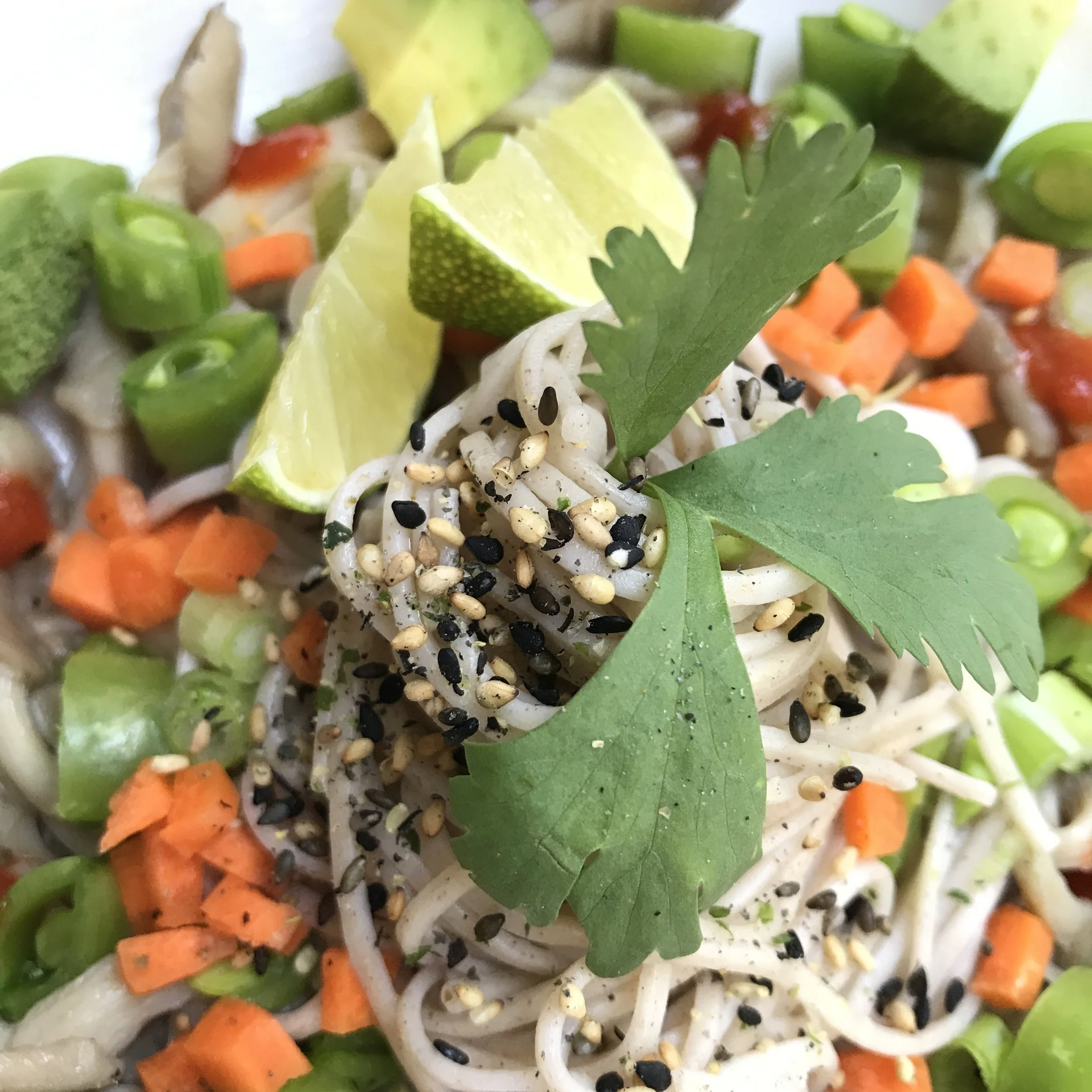 A nice heap of freshly cooked soba noodles topped with fresh diced sugar snap peas, carrots, avocado, green onions and cilantro. A dash of fresh lime juice and extra virgin olive oil and a sprinkle of furikake round out this perfectly balanced plate. the recipe: 1 package soba noodles (or other noodles of your choosing) 1 cup oyster mushrooms 1/2 cup chopped sugar snap peas 1/4 cup finely chopped carrots 1/4 cup chopped green onions 1/2 ripe avocado, cut into 1 inch cubes 1/2 lime (to juice) 1 tablespoon extra virgin olive oil + extra for sauteing mushrooms 1 tablespoon chopped cilantro 1 teaspoon furikake salt + pepper Optional: Sriracha to taste the plan: Cook noodles per package instructions. Don't forget to salt the boiling water. Saute mushrooms with your choice of oil until wilted and soft (I used coconut oil and salt). Chop your vegetables. Pile a spiral of noodles in the center of the plate, arrange mushrooms around the noodles, top with chopped vegetables and sprinkle with lime juice, EVOO, and furikake. Serve at room temperature and enjoy! You can easily make this a heartier meal by subbing other proteins of your choice. 